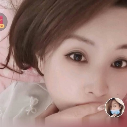北辰小燕子.