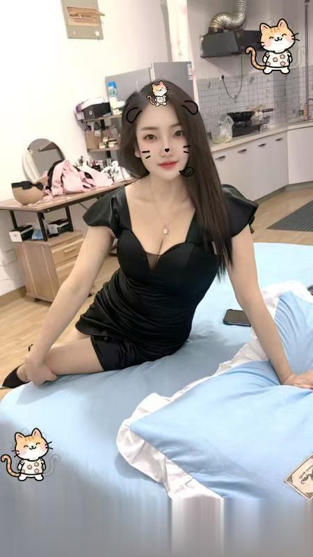 蜀山小野猫.