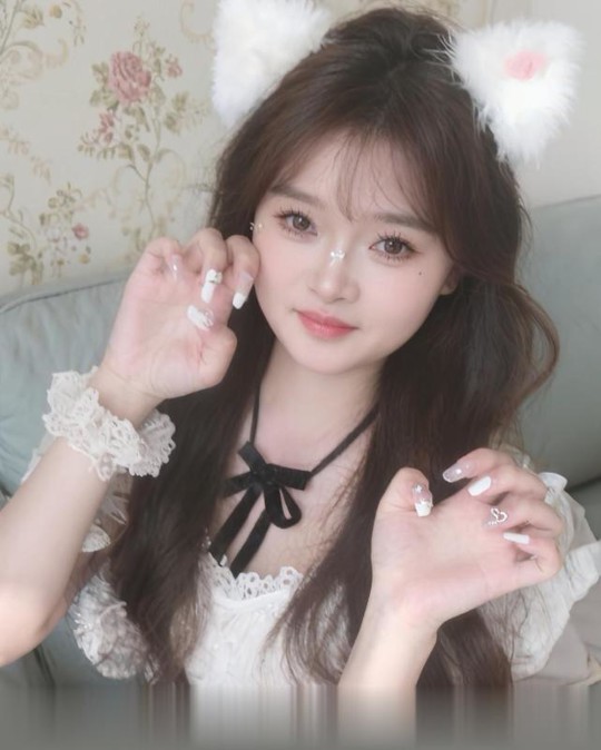 惠阳淡水妃子