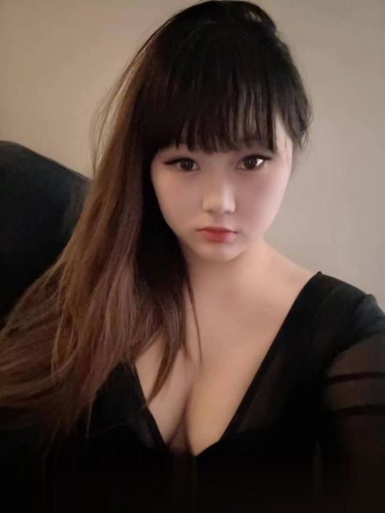 沈阳铁西小可爱